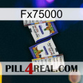 Fx75000 12